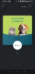 Free pet food from cred supertails