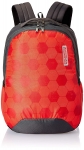 American Tourister Casual Backpack