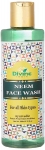 Divine India Ayurevda Neem Face Wash, 200 Ml