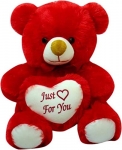 R-Shopee 2 FEET Teddy Bear