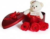 Valentine’s Day Gift