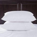 Top Offer on Noktok Sleeping Pillow, Pack of 2, 75% Off Deal